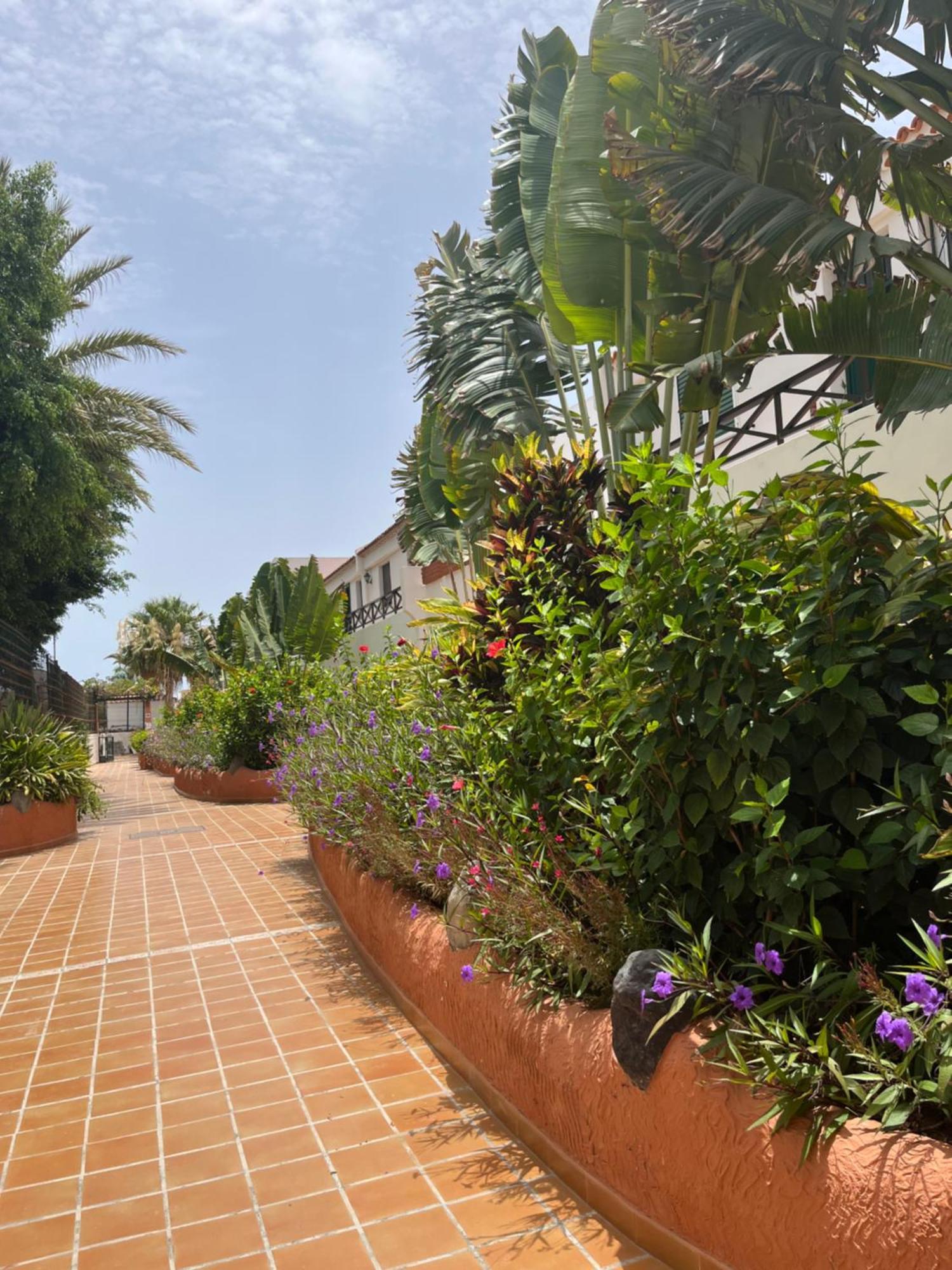 Appartement Casa Parque Don Jose 2 à Costa Del Silencio Extérieur photo