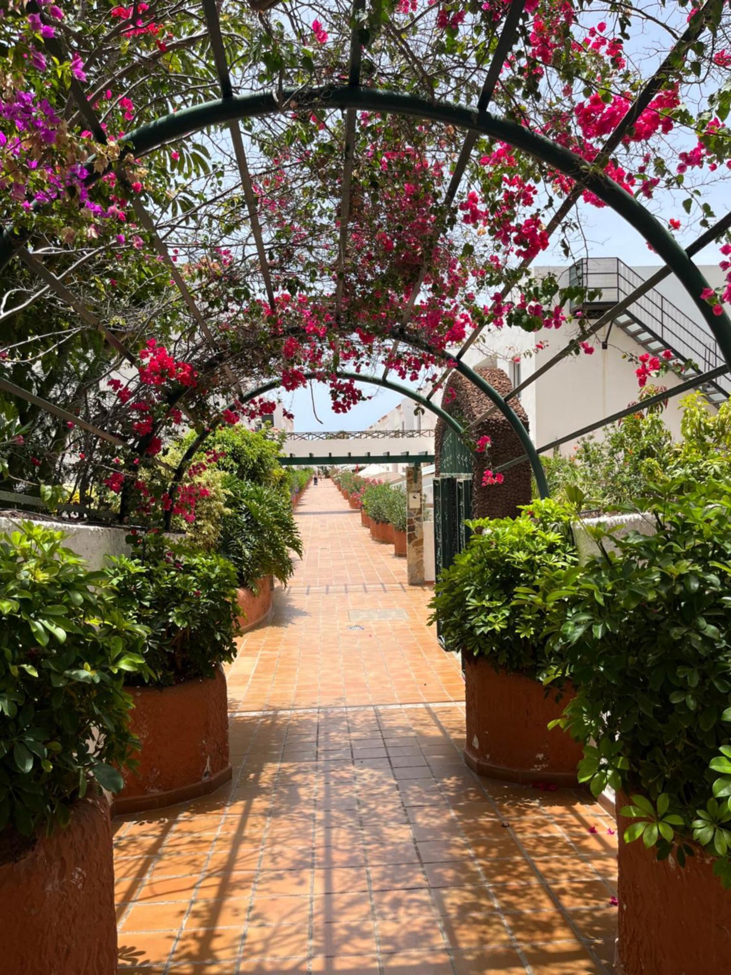 Appartement Casa Parque Don Jose 2 à Costa Del Silencio Extérieur photo